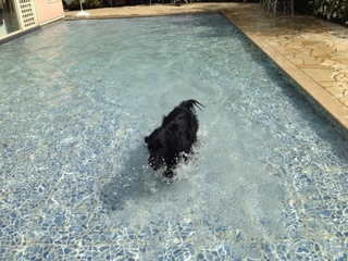 pool4.JPG